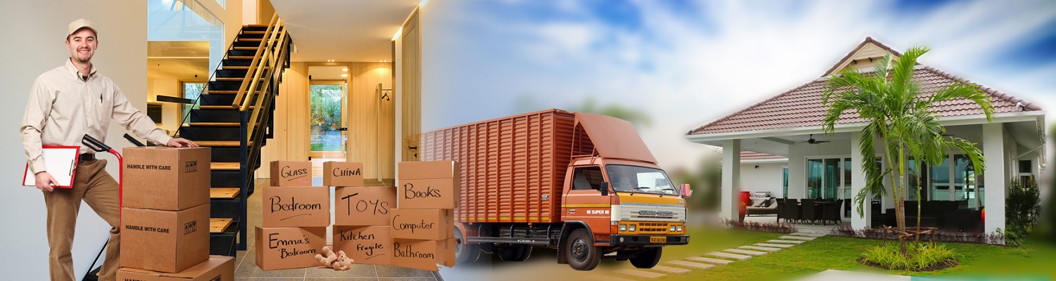 Blue Dart  Movers Packers
